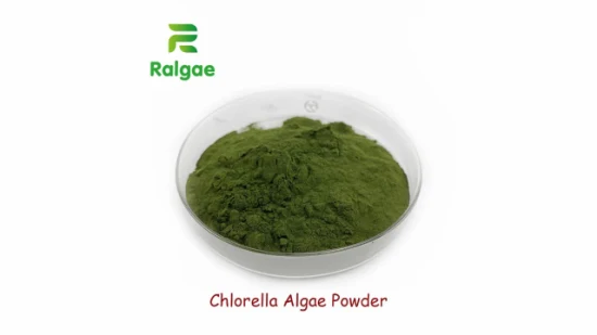 Aditivo de algas naturais de grau de alimentação em pó de Chlorella