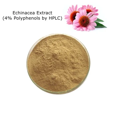 Extrato de Equinácea 100% Natural (4% Polifenóis por HPLC) como Aditivos Alimentares