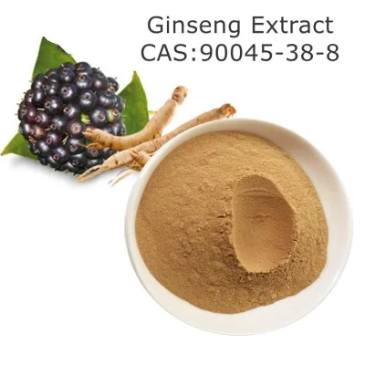 Pó natural CAS 90045 do extrato da raiz do ginseng de Panax dos cuidados médicos de 100%